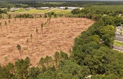 0 Sunflower Rd LOT 8, St Matthews, SC 29135