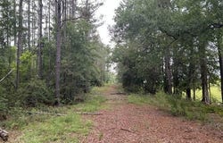 301 Freeman Road, Summit, MS 39666