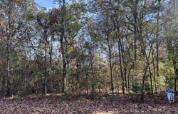 0 WATER OAK LANE, ALPINE, AL 35014