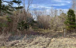 Tract 7 Venus Rd, Gladewater, TX 75647