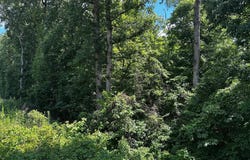 17201 INTERSTATE Drive, DUMFRIES, VA 22026