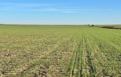 County Road K, Brewster, KS 67732