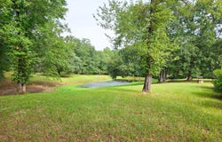 4438 N Hwy 49, Mount Olive, MS 39119