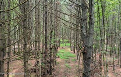 John Joy Road Lot 2, Woodstock, NY 12498