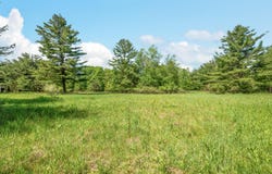 V/L 220th Avenue, Big Rapids, MI 49307