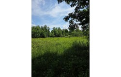 10555 EASEMENT Road, TIPLER, WI 54542