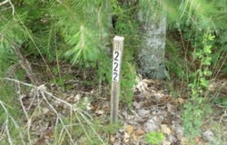 Hilltop Lane lot: 222, Wilder, TN 38589