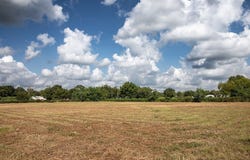 2 Acres Red Fox Road, Tomball, TX 77377