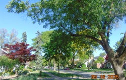 10114 Lincoln Drive, Huntington Woods, MI 48070