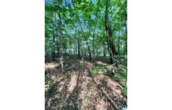 0 ANDREW JACKSON ROAD, ALEXANDER CITY, AL 35010