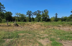 Nine Pine, E. 1685 Rd, Clayton, OK 74536