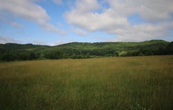110 Acres Bivens Rd., Tellico Plains, TN 37385