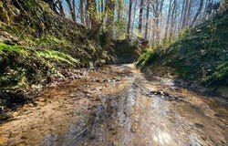 Lot 3 Old State, Talmo, GA 30575