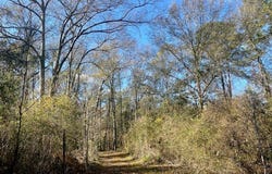 Morgantown Road, McComb, MS 39648