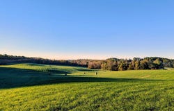 Daniels Run Road, Check, VA 24072