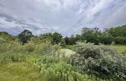 13550 E 900TH Street, Macomb, IL 61455