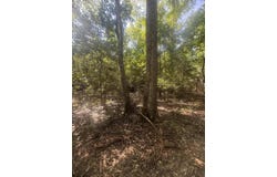 Hhf 2 Old Georgetown Road W, Kershaw, SC 29067