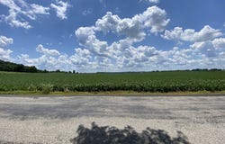 1591 S Graveyard Road, Paragon, IN 46166