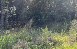 1907 E Cornwallis Road, Durham, NC 27713