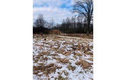 8670 Fortney Road, Orwell, OH 44076