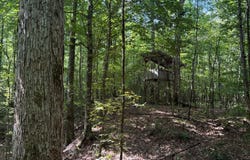 1230 W rd, Saulsbury, TN 38067