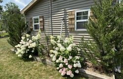 2606 County Road 612, Lewiston, MI 49756