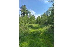 31.54 Acres Timber Wolf Drive, Hayward, WI 54843