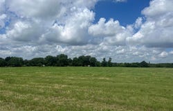 5368 TX-14, Mexia, TX 76667