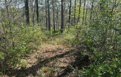 0  White Perch Ln., Zwolle, LA 71486