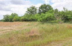 000 36 Acres Rice Road, Taylor, AL 36301