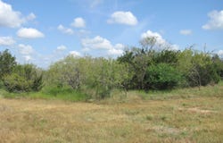 Pr 4212 lot: 12 Ph 4, Evant, TX 76525