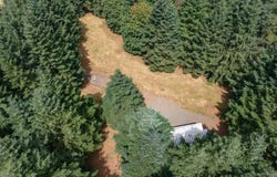 19601 NE TRUNK RD, Dundee, OR 97115