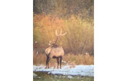 E Frontage Rd, Reed Point, MT 59069