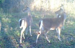 3324 County Road 3206, Dawson, TX 76639