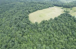 Tbd McRoberts Road, Wallingford, KY 41093