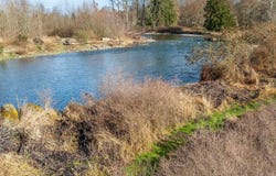 3197 Woodcock, Sequim, WA 98302