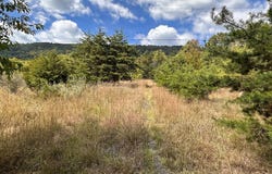 KNOBLEY ROAD, KEYSER, WV 26726