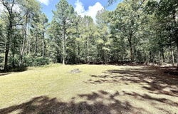 Old Jackson Road, Terry, MS 39170
