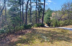 Lot 28 Wildflower Ridge, Brasstown, NC 28909