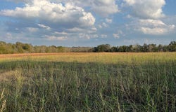 0 Squirrel Rd, New Ulm, TX 78950