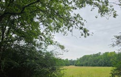 52.0 acres Co Rd 321, Moulton, AL 35650