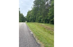 Tract 7 - County Road 313, Wedowee, AL 36278