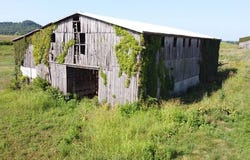 10880 Danville Hwy, Gravel Switch, KY 40328