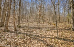 L9.114 Lutheranville Road, Summit, NY 12175