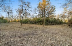 0000 FM 3, Normangee, TX 77871