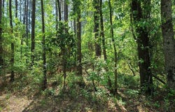 0 Fish Road, Dalzell, SC 29040