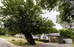 801 N Oak Street, Pauls Valley, OK 73075