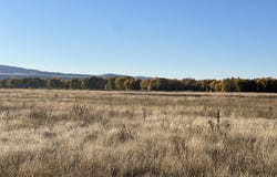4342 TAILS DOWN Road, Tetonia, ID 83452