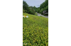Lot 43 Wedge Tailed Lane Lane, Sevierville, TN 37876