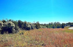 Riverfork Road, Waterloo, SC 29384